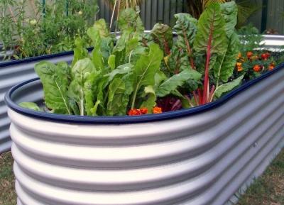 Высокие грядки на даче своими руками: фото и технология изготовления Высокие грядки на даче своими руками: фото и технология изготовления