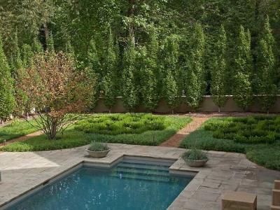 Дизайн садового участка
Дизайн садового участка