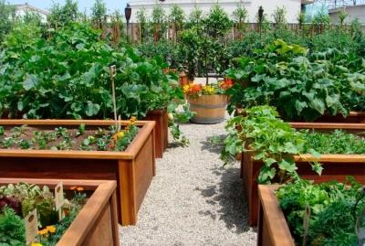 Высокие грядки на даче своими руками: фото и технология изготовления Высокие грядки на даче своими руками: фото и технология изготовления