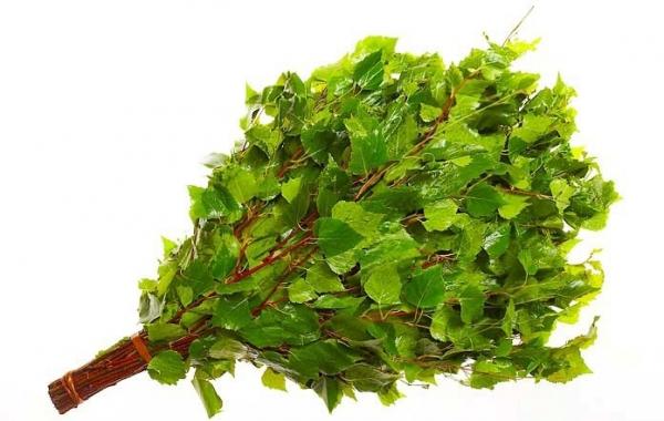 Как правильно сушить веники для бани Как правильно сушить веники для бани