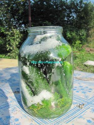 Рецепты маринованных огурцов
Рецепты маринованных огурцов