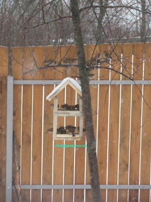  
Кормушка для птиц своими руками