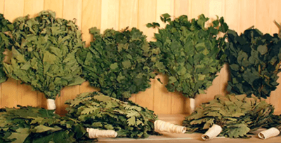 Заготовка веников для бани