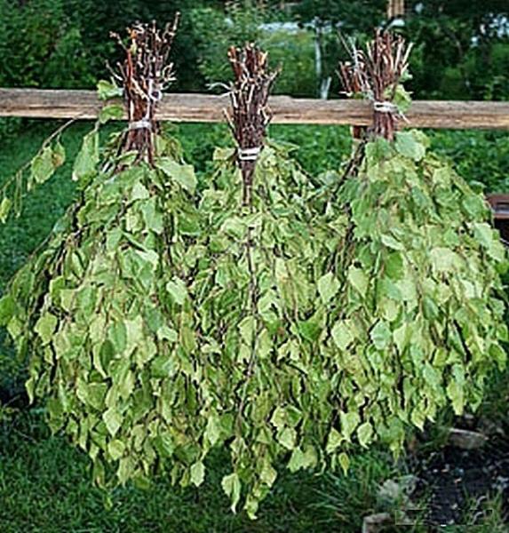 Какие бывают веники для бани Какие бывают веники для бани