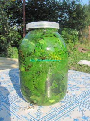 Рецепты маринованных огурцов
Рецепты маринованных огурцов