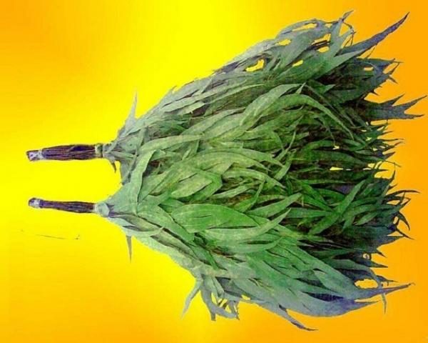 Как правильно париться в бане для здоровья