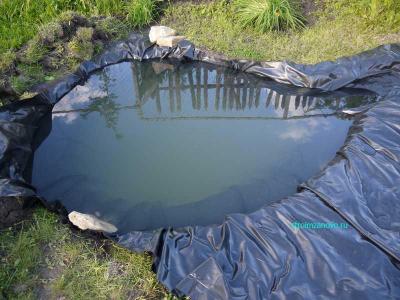 Пруд на даче
Пруд на даче