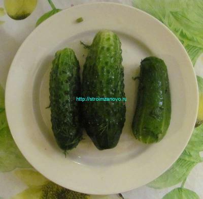 Рецепты маринованных огурцов
Рецепты маринованных огурцов