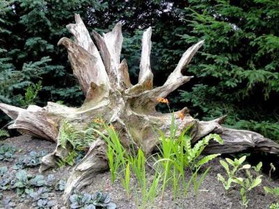  
Рутарий своими руками