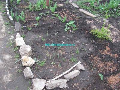 Подпорная стенка своими руками
Подпорная стенка своими руками