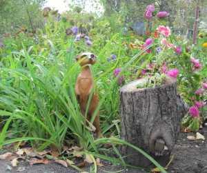  
Дизайн дачного участка