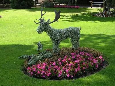  
Топиари – искусство фигурной стрижки растений