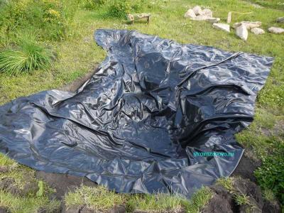 Пруд на даче
Пруд на даче