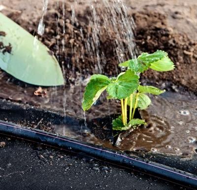 Укрывной материал для грядок