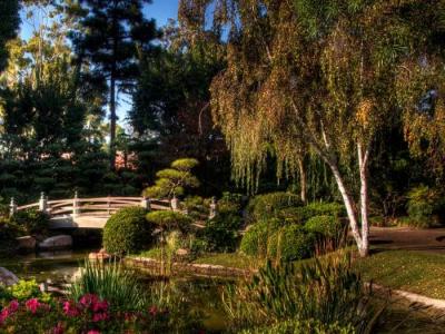 Сад в природном стиле
Сад в природном стиле