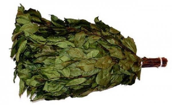 Какие бывают веники для бани Какие бывают веники для бани