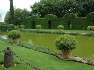  
Топиари – искусство фигурной стрижки растений