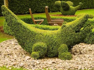  
Топиари – искусство фигурной стрижки растений