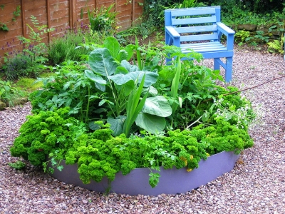 Грядки из пластиковой доски + фото Грядки из пластиковой доски + фото