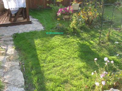  
Газон своими руками