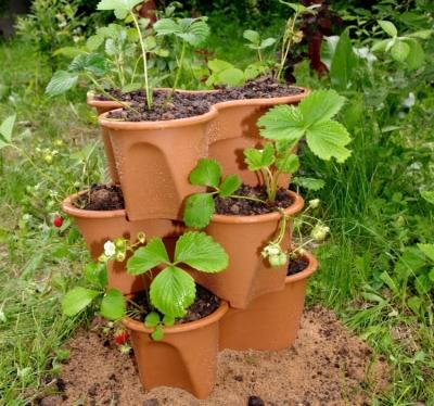 Высокие грядки на даче своими руками: фото и технология изготовления Высокие грядки на даче своими руками: фото и технология изготовления