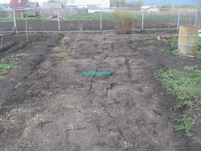  
Газон своими руками