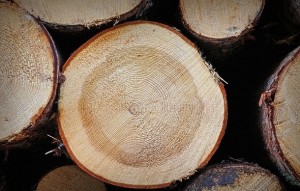 Как правильно топить баню