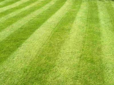 Устройство газона
Устройство газона