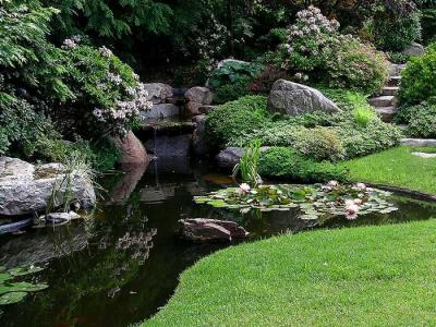 Сад в природном стиле
Сад в природном стиле