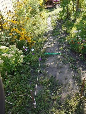 Дорожка из камня
Дорожка из камня