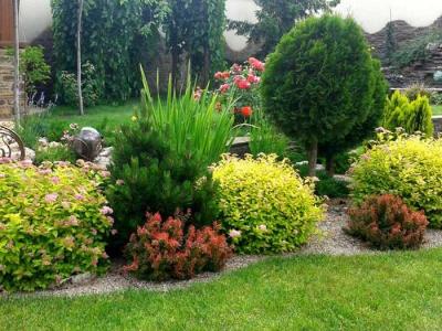 Дизайн садового участка
Дизайн садового участка