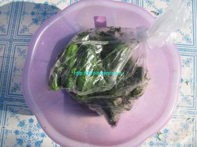 Рецепты маринованных огурцов
Рецепты маринованных огурцов