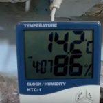 Выращивание грибов в домашних условиях: главные особенности и инструкция для новичков Выращивание грибов в домашних условиях: главные особенности и инструкция для новичков