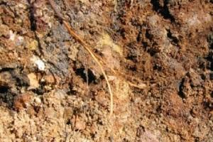 Какой фундамент выбрать для дома из бруса: типы и рекомендации, какой фундамент дома выбрать Какой фундамент выбрать для дома из бруса: типы и рекомендации, какой фундамент дома выбрать