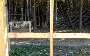 Беседки для дачи своими руками простые: стальные, деревянные, каменные