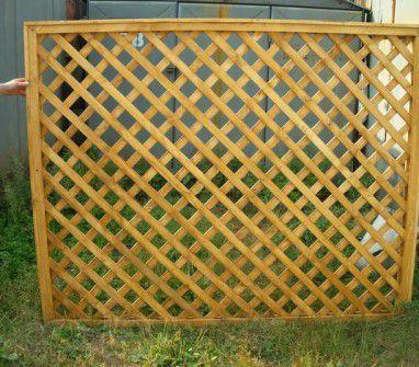 Живая изгородь на даче своими руками: какие растения лучше выбрать, пошаговый процесс монтажа Живая изгородь на даче своими руками: какие растения лучше выбрать, пошаговый процесс монтажа