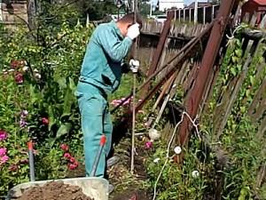 Как построить забор из профлиста своими руками: этапы подготовки и видео пример самостоятельного строительства забора из профлиста Как построить забор из профлиста своими руками: этапы подготовки и видео пример самостоятельного строительства забора из профлиста