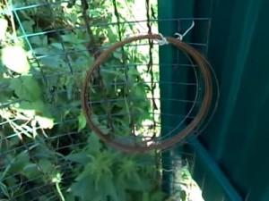 Как построить забор из профлиста своими руками: этапы подготовки и видео пример самостоятельного строительства забора из профлиста Как построить забор из профлиста своими руками: этапы подготовки и видео пример самостоятельного строительства забора из профлиста