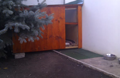 Будка для собаки своими руками: используем чертежи Будка для собаки своими руками: используем чертежи