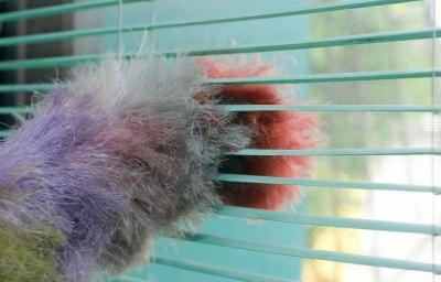 Как мыть жалюзи — эффективные домашние способы и средства, инструкции Как мыть жалюзи — эффективные домашние способы и средства, инструкции