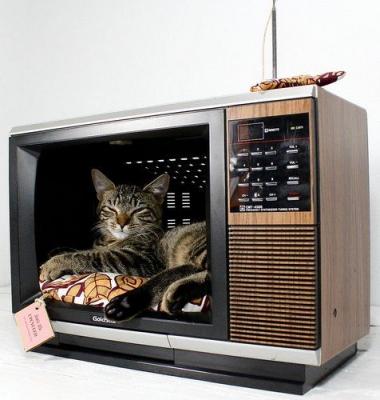 Полки на стену своими руками: делаем полку на стену с пошаговой инструкцией Полки на стену своими руками: делаем полку на стену с пошаговой инструкцией