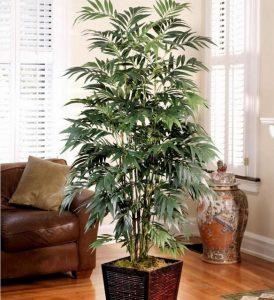 Какая должна быть влажность в квартире Какая должна быть влажность в квартире