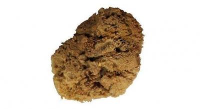 Декоративная штукатурка в интерьере: лучшие варианты + технология нанесения