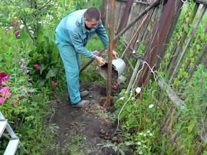 Как построить забор из профлиста своими руками: этапы подготовки и видео пример самостоятельного строительства забора из профлиста Как построить забор из профлиста своими руками: этапы подготовки и видео пример самостоятельного строительства забора из профлиста