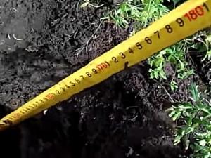 Как построить забор из профлиста своими руками: этапы подготовки и видео пример самостоятельного строительства забора из профлиста Как построить забор из профлиста своими руками: этапы подготовки и видео пример самостоятельного строительства забора из профлиста