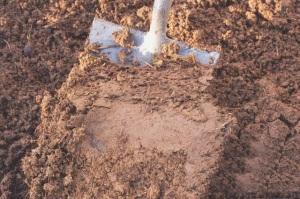 Какой фундамент выбрать для дома из бруса: типы и рекомендации, какой фундамент дома выбрать Какой фундамент выбрать для дома из бруса: типы и рекомендации, какой фундамент дома выбрать