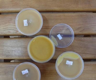 Мастика для ламината — после укладки, для полировки и швов