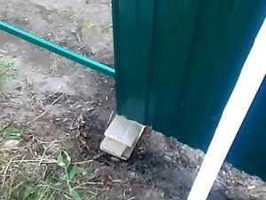 Как построить забор из профлиста своими руками: этапы подготовки и видео пример самостоятельного строительства забора из профлиста Как построить забор из профлиста своими руками: этапы подготовки и видео пример самостоятельного строительства забора из профлиста