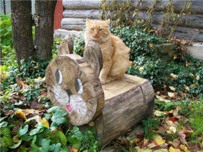 Садовая скамейка своими руками: используем чертежи для изготовления скамейки из дерева Садовая скамейка своими руками: используем чертежи для изготовления скамейки из дерева