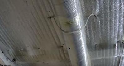 Выращивание грибов в домашних условиях: главные особенности и инструкция для новичков Выращивание грибов в домашних условиях: главные особенности и инструкция для новичков